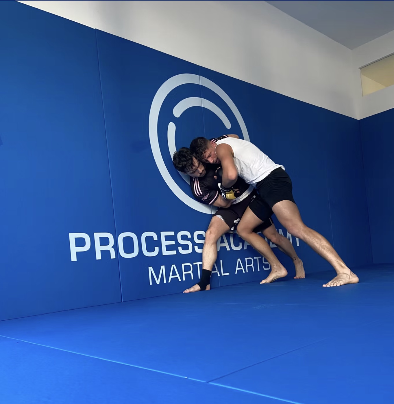 MMA bei Process Academy Stuttgart