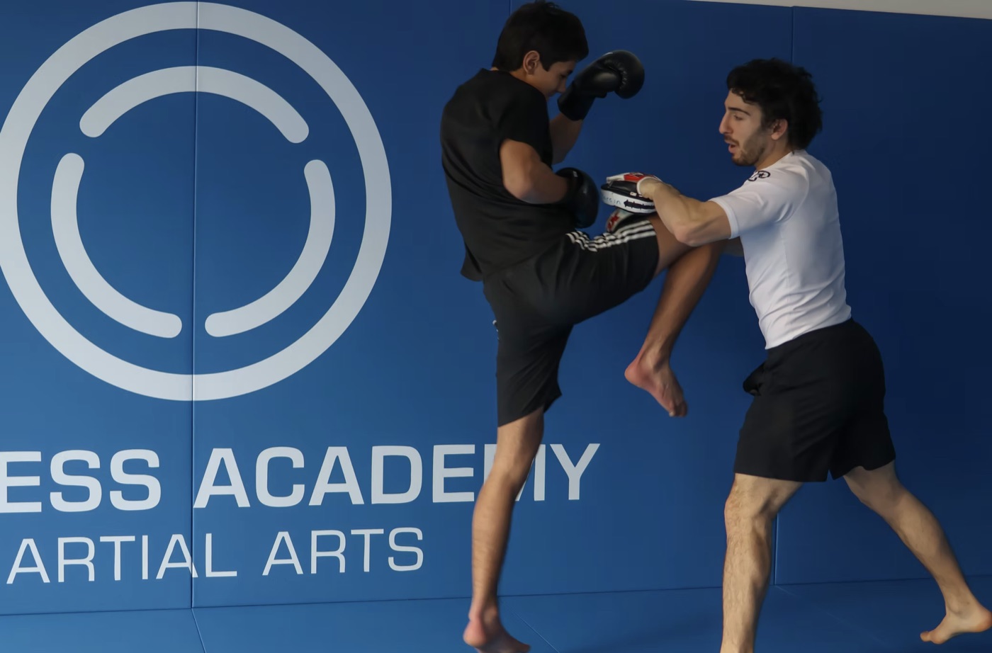 MMA bei Process Academy Stuttgart
